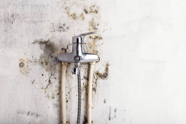 Best Water Damage Restoration  in Gulfport, FL