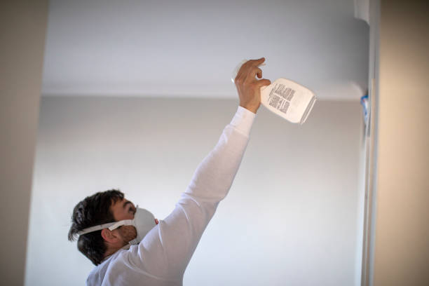 Best Toxic Mold Removal  in Gulfport, FL